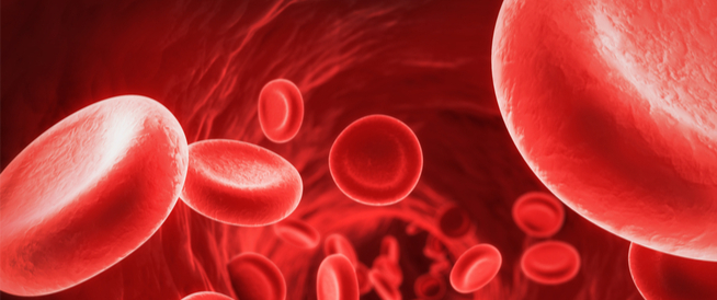 فقر الدم الانحلالي: أحد أنواع فقر الدم العديدة