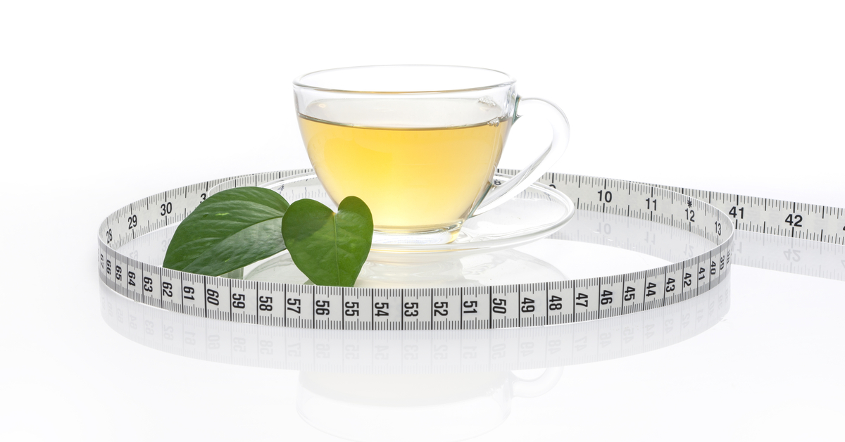 تعرف على فوائد الشاي الأخضر للتنحيف - ويب طب