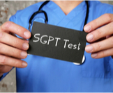 تحليل SGPT: دليلك الشامل
