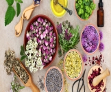 علاج آلام الظهر بالأعشاب: هل هو ممكن؟