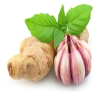 علاج سوء الامتصاص بالأعشاب