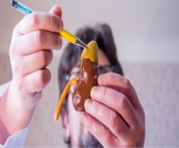 أدوية تنشيط الغدة الكظرية