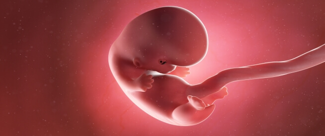 معرفة نبض الجنين في المنزل في الشهر الثاني – نسخة مصورة