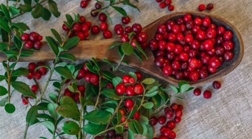 عنب الثور: فاكهة غريبة ومفيدة