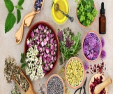 علاج سرطان الدم بالأعشاب: حقيقة أم خرافة؟