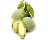 فوائد اللوز الأخضر للحامل