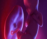 وضعيات الجنين في الشهر الثامن