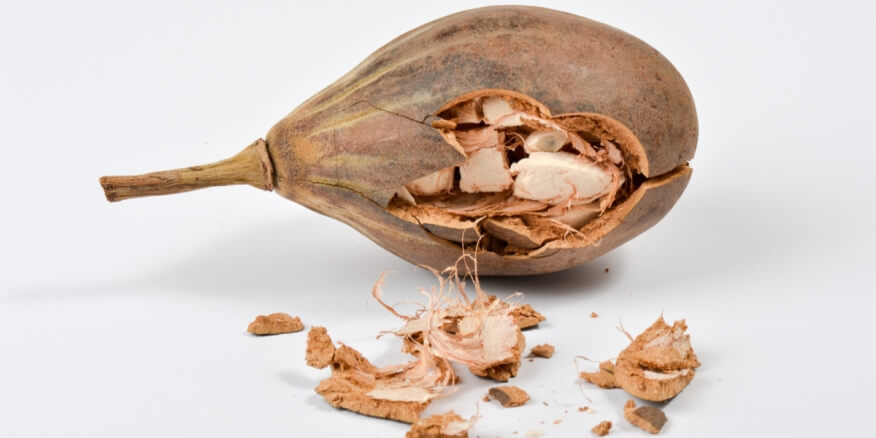 فوائد الباوباب: تعرف عليها - ويب طب