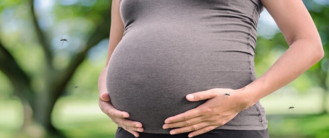 فيروس زيكا والحمل: مضاعفات ومخاطر