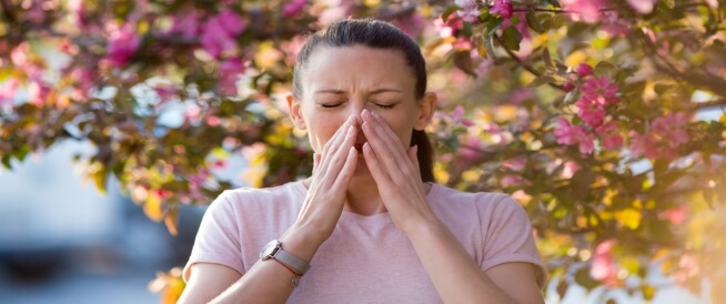 علاج حساسية الربيع بالأعشاب: هل هو ممكن؟