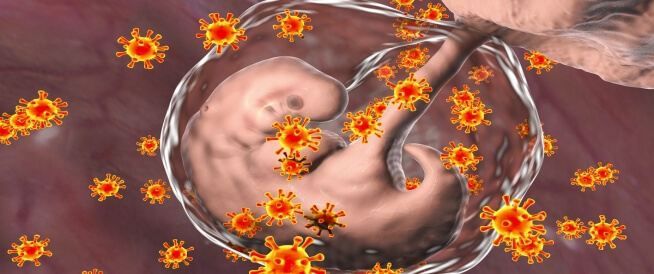 الحصبة الألمانية للحامل: دليلك الشامل