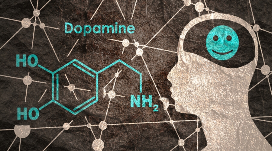 ما تأثير الدوبامين في الجهاز العصبي