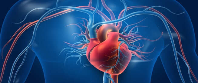 هل يشفى مريض نقص التروية القلبية؟