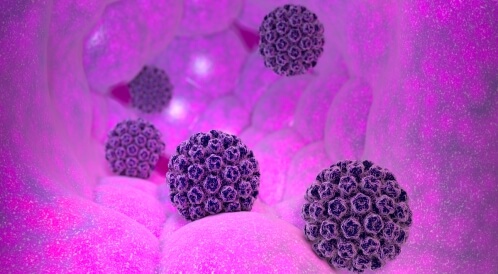 تحليل hpv للرجال