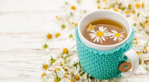 فوائد البابونج للضغط: موجودة حقًّا؟