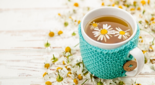 فوائد البابونج للعظام: هل هي موجودة؟