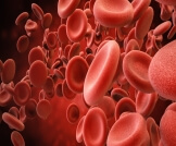 عدد كريات الدم الحمراء الطبيعي