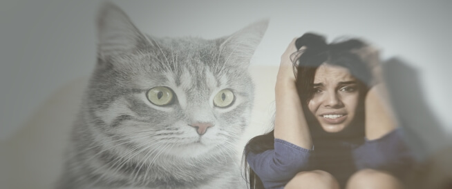 Fobia e maceve: udhëzuesi juaj gjithëpërfshirës për të - WebTeb