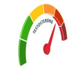 هل هرمون التستوستيرون يزيد الطول