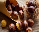 أضرار أبو فروة: موجودة وتستدعي الحذر