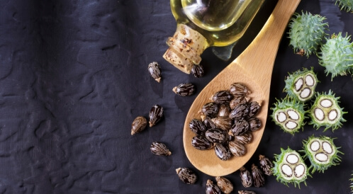 زيت الخروع للعين: فوائد عديدة