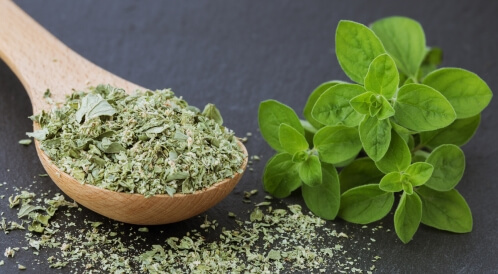 فوائد البردقوش للدورة