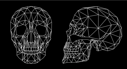 شكل الجمجمة الطبيعي: ما هو؟
