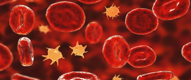 هل نقص الصفائح الدموية مرض مزمن؟