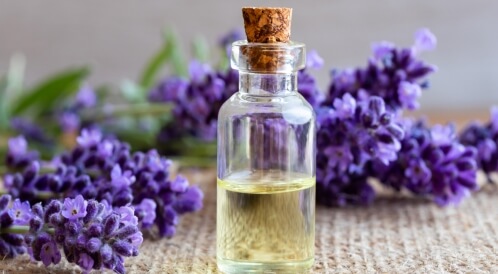 فوائد زيت اللافندر للرجل