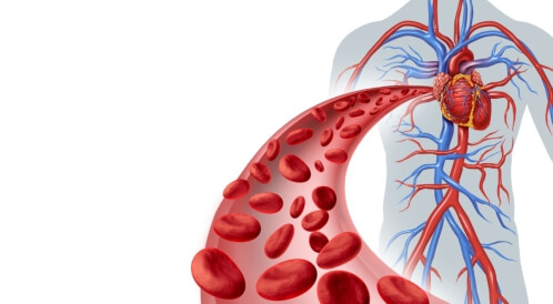 أمراض الدورة الدموية: إليك أبرزها