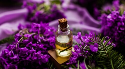 أضرار زيت اللافندر للشعر: ما هي؟