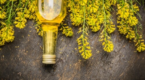 زيت الكانولا للقلي: معلومات هامة