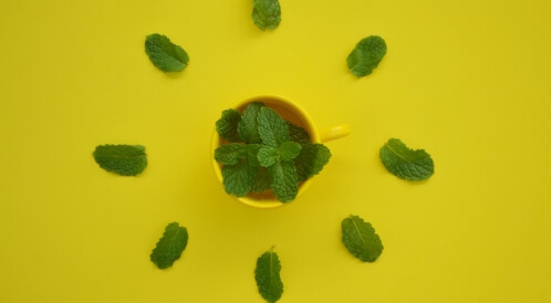 فوائد النعناع للتخسيس: هل هي موجودة؟