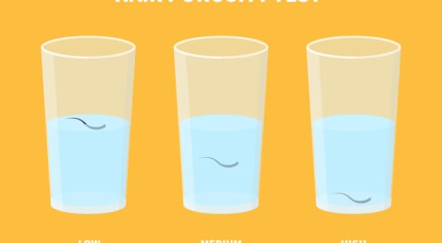 اختبار مسامية الشعر: ماذا تعرف عنه؟