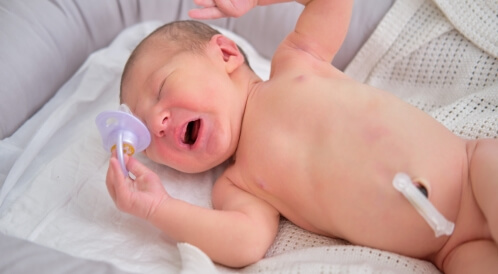 بديل اللهاية للرضع: أبرز المعلومات