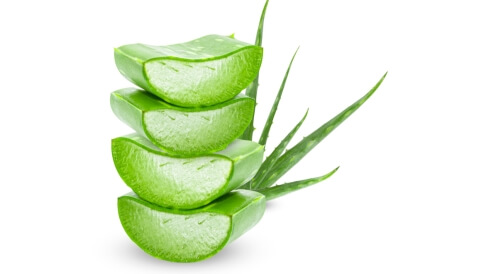 استخدامات جل الصبار: ما هي؟