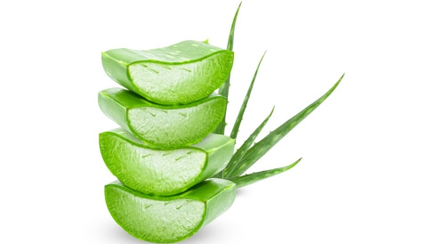 ماسك الصبار للشعر: وصفات سهلة وفوائد مذهلة