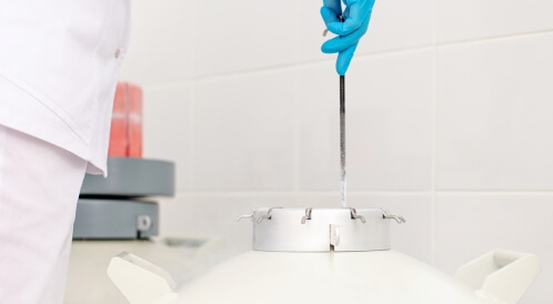 الأجنة المجمدة: دليلك الشامل