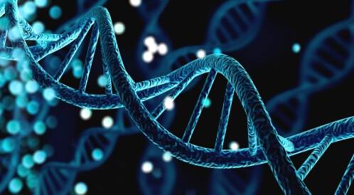 متلازمة هيرلر: اضطراب وراثي نادر