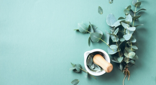 أوراق الكالبتوس: 9 فوائد مذهلة