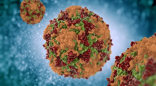 فيروس كوكساكي: معلومات هامة