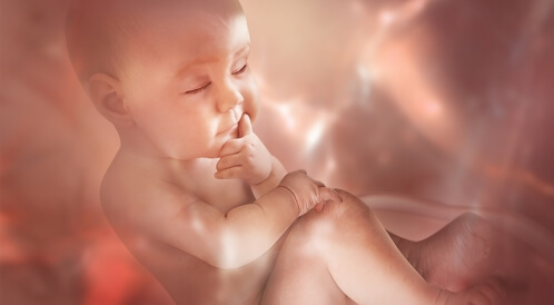 زيادة وزن الجنين: دليلك الشامل