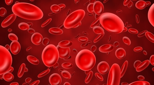 وظيفة كريات الدم الحمراء