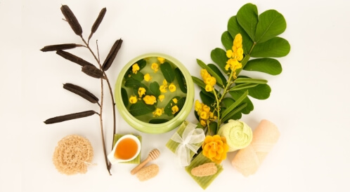 طريقة استخدام عشبة سنامكي