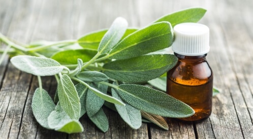 الميرمية للشيب: فوائد ووصفات