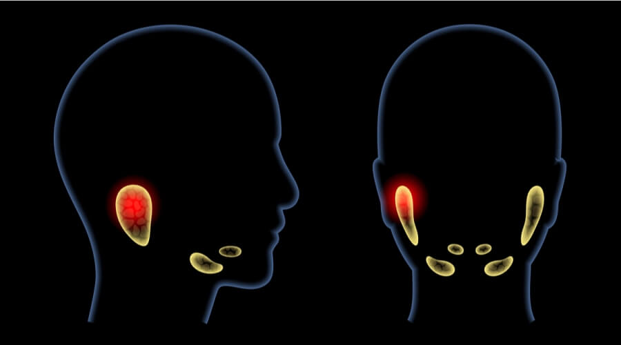 الغدد اللعابية ويب طب