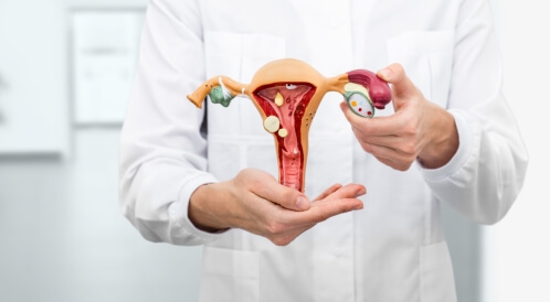 لحمية عنق الرحم: دليلك الشامل