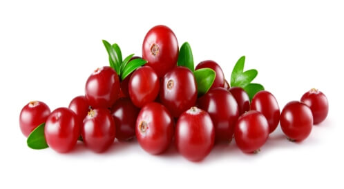 فوائد التوت البري للتخسيس	