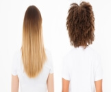 هل يمكن تغيير طبيعة الشعر؟