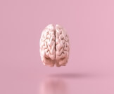 هل تتجدد خلايا المخ عند الأطفال؟